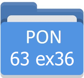 PON 63 ex36